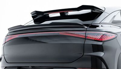 EXTENSION DU BECQUET DE HAYON BYD SEALION 7 (2024+)