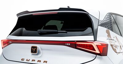 EXTENSION DU BECQUET DE TOIT CUPRA BORN (2021+)