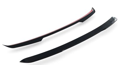 EXTENSION DU BECQUET DE TOIT CUPRA BORN (2021+)