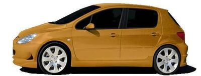 JEU DE BAS DE CAISSE PEUGEOT 307 CPN DESIGN (2001/2008)