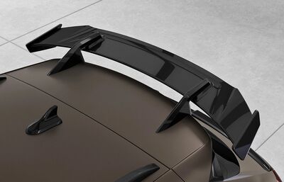 AILERON DE TOIT A COL DE SIGNE CUPRA FORMENTOR CS STYLE (2020+)