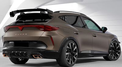 AILERON DE TOIT A COL DE SIGNE CUPRA FORMENTOR CS STYLE (2020+)