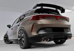 AILERON DE TOIT A COL DE SIGNE CUPRA FORMENTOR CS STYLE (2020+)