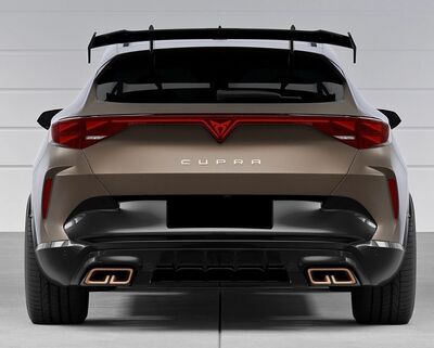 AILERON DE TOIT A COL DE SIGNE CUPRA FORMENTOR CS STYLE (2020+)