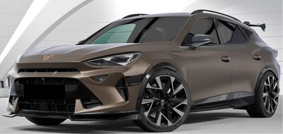 AILERON DE TOIT A COL DE SIGNE CUPRA FORMENTOR CS STYLE (2020+)