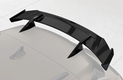 AILERON DE TOIT A COL DE SIGNE CUPRA FORMENTOR CS STYLE (2020+)