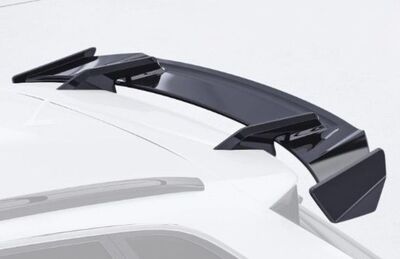 AILERON DE TOIT A COL DE SIGNE AUDI A3 8V SPORTBACK STANDARD CS STYLE (2012/2020)