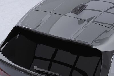 BECQUET DE TOIT BMW SERIE 1 F70 M SPORT PACKET PRO OU M135I "CUP" CS STYLE (2024+)