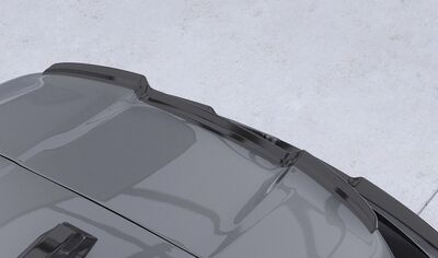 BECQUET DE TOIT BMW SERIE 1 F70 M SPORT PACKET PRO OU M135I "CUP" CS STYLE (2024+)