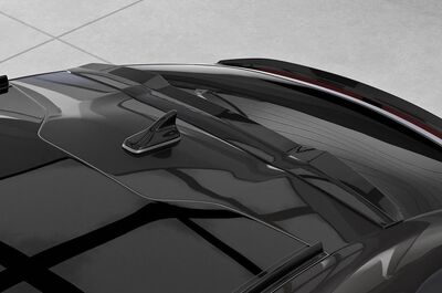 CASQUETTE DE TOIT CUPRA TAVASCAN"CUP" CS STYLE (2024+)