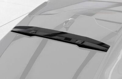 CASQUETTE DE TOIT CUPRA TAVASCAN"CUP" CS STYLE (2024+)