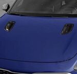 ENJOLIVEURS DE PRISES D'AIR DE CAPOT EN CARBONE KIA STINGER (2017+)