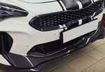 CONTOUR DE CALANDRE EN CARBONE KIA STINGER (2017/2023)
