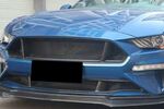 CALANDRE CARBONE SANS SIGLE FORD MUSTANG VI PHASE 1 (2014/07-2017) OU PHASE 2 (08-2017/2021)
