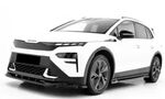 LAME DE PARE CHOC AVANT SKODA ELROQ RS PHASE 1 (2025+)
