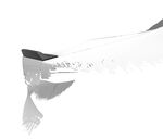 BECQUET DE COFFRE BYD SEAL / SEAL EV "CUP" CS STYLE (2022+)