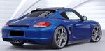 DEFLECTEURS DE PAVILLON MERCEDES Porsche BOXSTER 987 / PORSCHE Cayman 987 "CUP" CS STYLE (2005/2013)