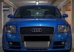 PARE CHOC AVANT AUDI TT 8N TYPE SINGLE FRAME EURO STYLE (1998/2006)