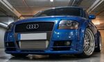 PARE CHOC AVANT AUDI TT 8N TYPE SINGLE FRAME EURO STYLE (1998/2006)