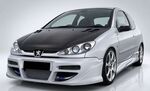 PARE CHOC AVANT ADAPTABLE PEUGEOT 206 "EARTH" CPN DESIGN(1998/2009)