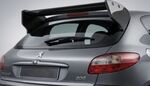 BECQUET DE TOIT PEUGEOT 206 CPN DESIGN (1998/2009)