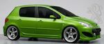 JEU DE BAS DE CAISSE PEUGEOT 307 "CPN DESIGN" (2001/2008)