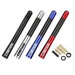 ANTENNE DE TOIT ALU/CARBONE LOOK AVEC LOGO COMPASS