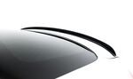EXTENSION DE BECQUET DE COFFRE BMW X6 F16 MX V1 (2014/2019)