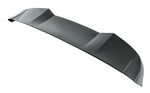 EXTENSION DE BECQUET DE COFFRE BMW SERIE 1 F20 TYPE"3D GLOSS BLACK"(2011/2019)