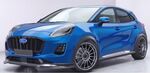 LAME DE PARE CHOC AVANT FORD PUMA SUV PHASE 1 TITANIUM OU TITANIUM X "CUP" CS STYLE (2019/2024)