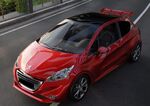 BECQUET DE TOIT PEUGEOT 208 STANDARD LOOK RALLY (2012/2019)