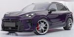 LAME DE PARE CHOC AVANT CUPRA TERRAMAR STANDARD OU VZ PHASE 1 "CUP" CS STYLE (2024+)