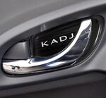ENJOLIVEURS DE GACHES DE PORTES INTERIEURES (AVANT+ARRIERE) RENAULT KADJAR (2015/2022)