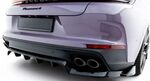 LAME DE PARE CHOC ARRIERE PORSCHE PANAMERA 972 PANAMERA 4 972 PANAMERA 972 4 E-HYBRID / PANAMERA 972 S E-HYBRID PHASE 1 (2024+)