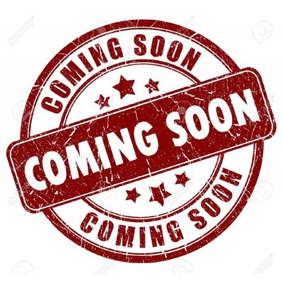 PARE CHOC AVANT PORSCHE CAYMAN OU BOXSTER 981 CS STYLE (2012+)