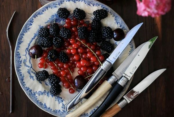 COFFRET 4 COUTEAUX TABLE