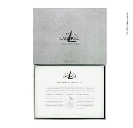 6 COUTEAUX DE TABLE CHRISTIAN GHION