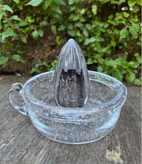 PRESSE AGRUMES en Verre Bullé