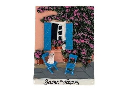 MAGNET MAISON AU BOUGAINVILLIER