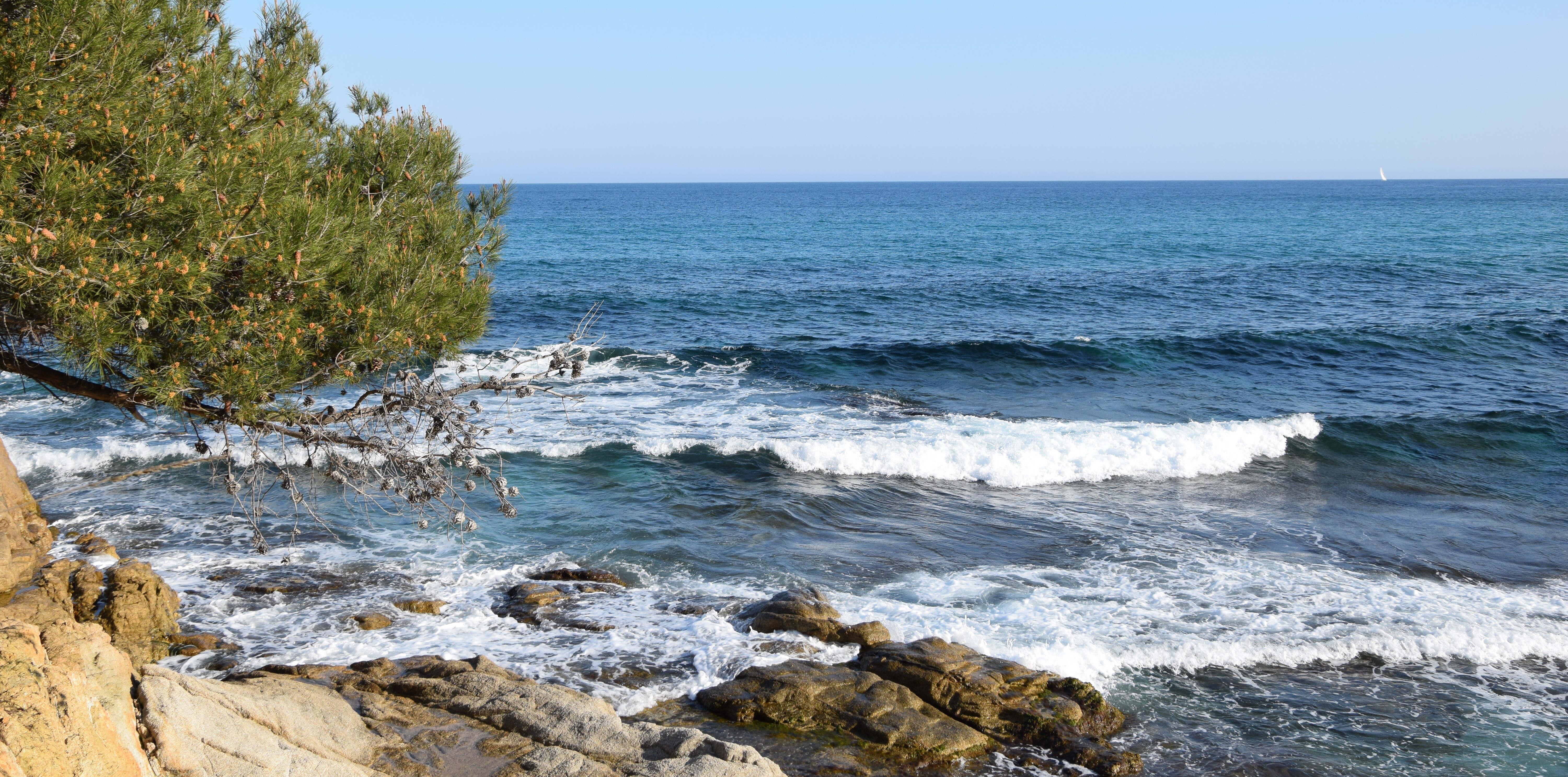Décoration locale Saint Tropez