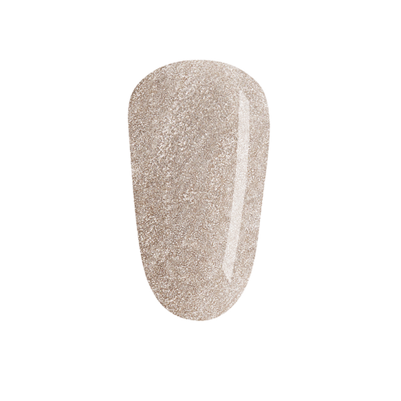 Day To Knight SHELLAC™