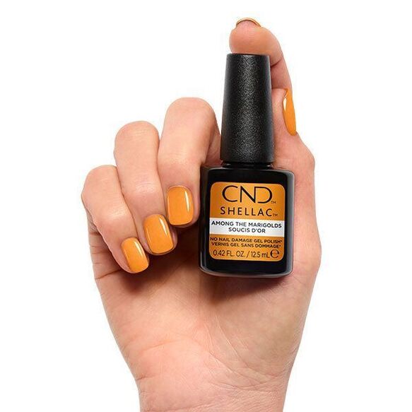 Among The Marigolds SHELLAC™