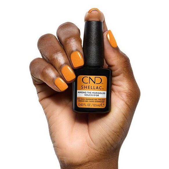 Among The Marigolds SHELLAC™