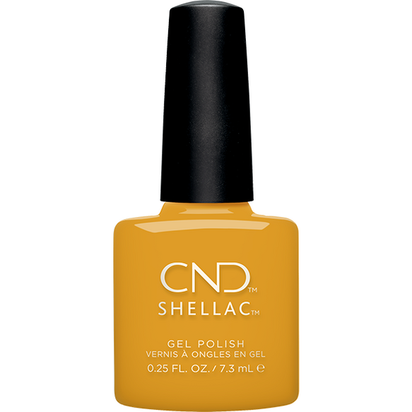 Among The Marigolds SHELLAC™