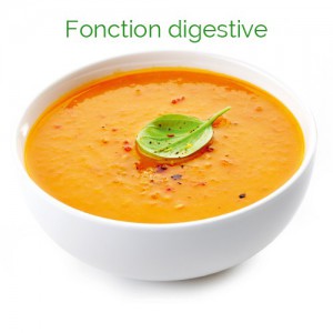 Insudiet mouliné légumes du potager - 300 g