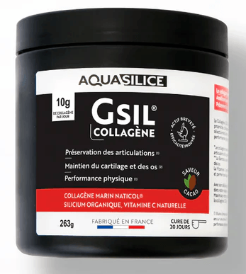 Aquasilice GSIL Collagène - 263g