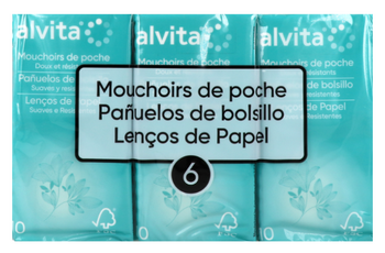 Alvita Mouchoirs 6 étuis x10