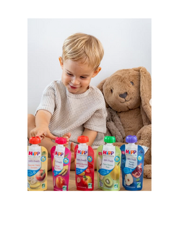 Hipp gourde compote pack de 6 - 6x90g