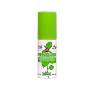Eau de Mélisse des Carmes Boyer Spray fraîcheur 15 ml