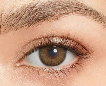 Majdaya Lentilles Honey touch